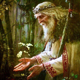 НАРОДНЫЙ ЦЕЛИТЕЛЬ | ЗДОРОВЬЕ