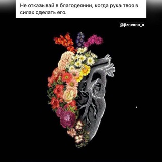 ЦИТАТЫ ИЗ ЖИЗНИ