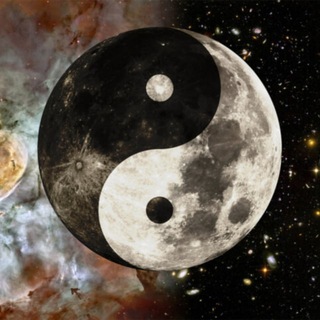 BUSHWACKER. КУЛЬТУРНО-ИСТОРИЧЕСКИЕ РАЗВЛЕКАТЕЛЬНЫЕ СТРИМЫ.