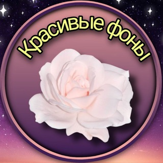 КРАСИВЫЕ ФОНЫ