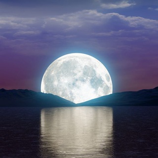 ВЫШЕ ЛУНЫ | ИНВЕСТИЦИИ | ТРЕЙДИНГ