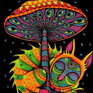 МУХОМОРНЫЙ МИР