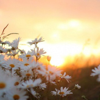 ВЕРУЮ ️ ПРАВОСЛАВИЕ