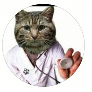 ДРУЖОК ТИМКА ВЛАДИВОСТОК