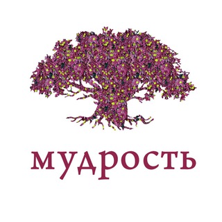 ТОЛДОТ — МУДРОСТЬ ДНЯ