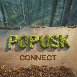 POPUSK 2023: MORE