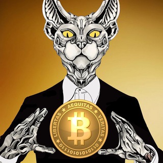 CRYPTO KOT
