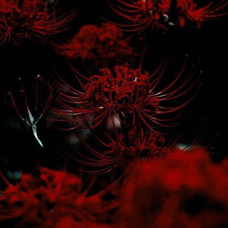 KATANA DESIGN | ДИЗАЙН