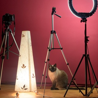 CHAT - INTERNATIONAL ART COMMUNITY