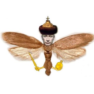 ЖЕСТ ДОБРОЙ «МОЛИ»