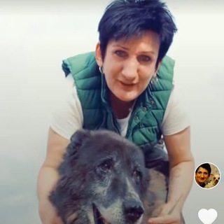 ДОМ ДЛЯ СОБАК