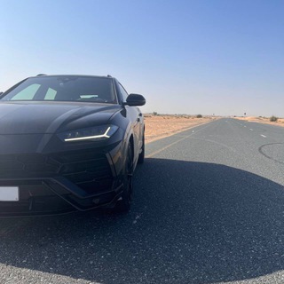 МОЛОДЫЕ МИЛЛИОНЕРЫ | ПРОГНОЗЫ НА СПОРТ