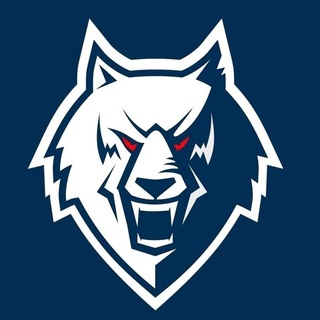 ВОЛЧЬЯ СТАЯ. КАНАЛ ХК