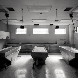 МОРГ | МЕДИЦИНА