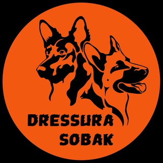 DRESSURA.SOBAK