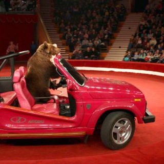 ЦИРК НА КОЛЕСАХ