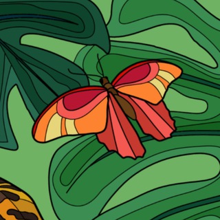 ЗАДАНИЕ 34 ИЗ ЕГЭ ПО ХИМИИ 2023