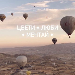 Я МЕЧТАЮ