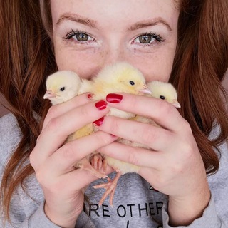 РЫЖИЙ ФЕРМЕР