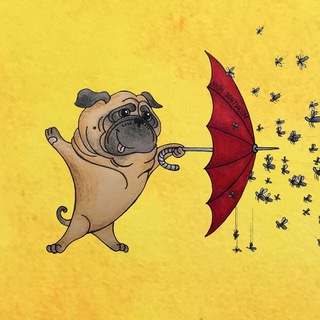 УКОЛ ZОНТИКОМ