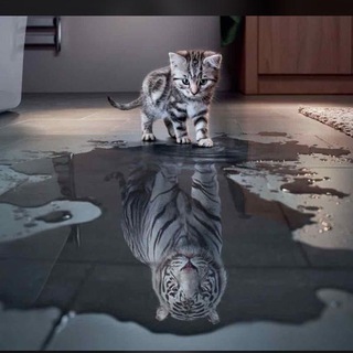 ODKRYWAMY ZAKRYTE !!!