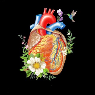 ВРАЧИ БЕЛАРУСИ. АРХИВ