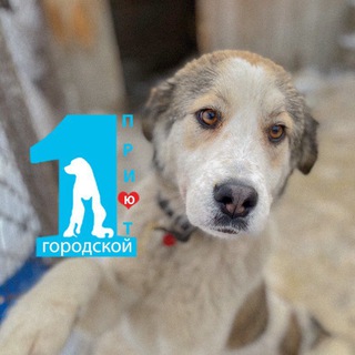 ПЕРВЫЙ ГОРОДСКОЙ ПРИЮТ Г. НОВОСИБИРСК Т. 214-92-91