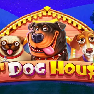 КАЗИНО БОНУС ЗЕРКАЛА