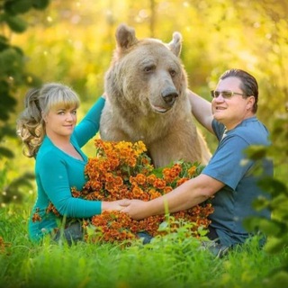 STEPANSAVVATHEBEAR
