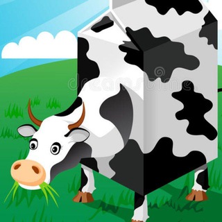 МОДНЫЕ МОСКВИЧИ