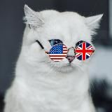  KITTY ENGLISH 