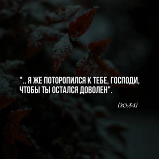 СВЕТ ИСТИНЫ