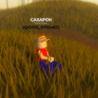 ДАМ СЕКРЕТ, КОТОРЫЙ ТЫ НЕ ЗНАЕШЬ!