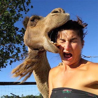 ЦЕНА ОШИБКИ