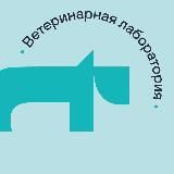 ВЕБИНАРЫ VET UNION