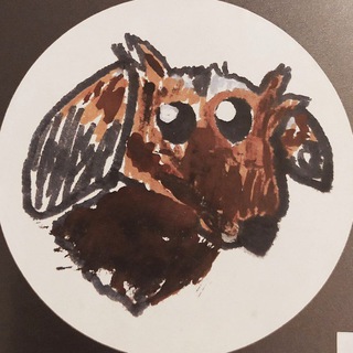 МИССИС ДУЛИТТЛ - СОФИЯ ЦАРЕГОРОДЦЕВА | ЗООПСИХОЛОГ