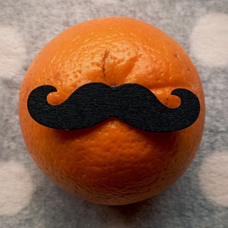 КНИЖНЫЙ СОМЕЛЬЕ