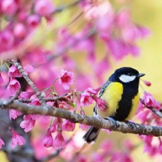 ТЕАТРАЛЬНЫЙ ВЕЧЕР