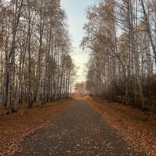 РОЛКИ ОТ ПОЛКИ