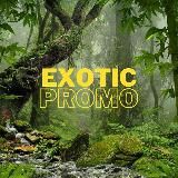 EXOTIC PROMO