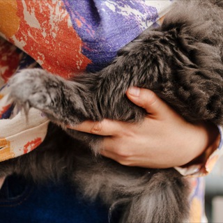 МЕЖДУ НАМИ ГОВОРЯ