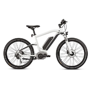 BICICLETAS ELÉCTRICAS (EBIKES)