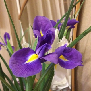 ТВОРЧЕСТВО И РУКОДЕЛИЕ