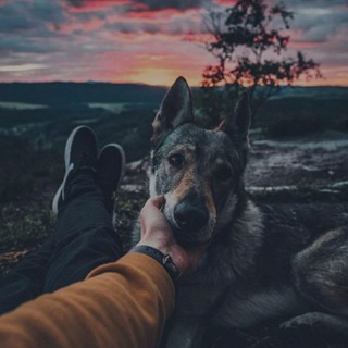 КАНАЛЫ ТЕЛЕГРАМ | БИРЖА | 24/7