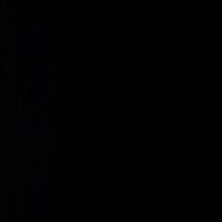 ПОЛИТОНЕЛОГИЯ