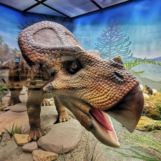 ДАРВИНОВСКИЙ МУЗЕЙ