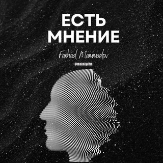 МНЕНИЕ ФМ