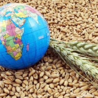 ЗЕРНОТРЕЙДЕР РОССИИ