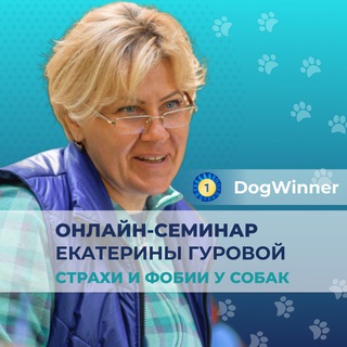 СЕМИНАР DOGWINNER: СТРАХИ У СОБАКИ