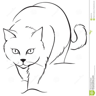 БРЯНСКИЙ СКИТАЛЕЦ